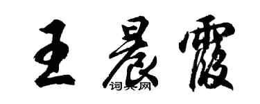 胡问遂王晨霞行书个性签名怎么写