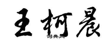 胡问遂王柯晨行书个性签名怎么写