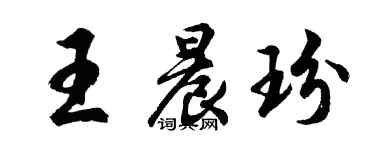 胡问遂王晨玢行书个性签名怎么写