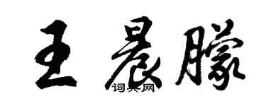胡问遂王晨朦行书个性签名怎么写