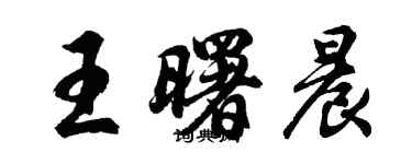 胡问遂王曙晨行书个性签名怎么写