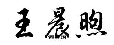 胡问遂王晨煦行书个性签名怎么写