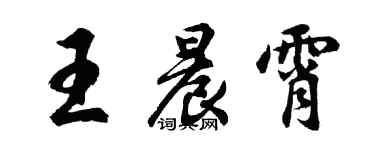 胡问遂王晨霄行书个性签名怎么写