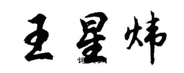 胡问遂王星炜行书个性签名怎么写
