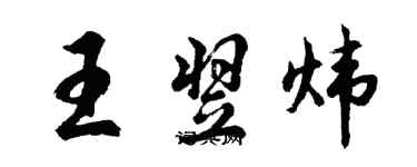 胡问遂王翌炜行书个性签名怎么写