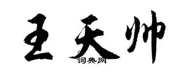胡问遂王天帅行书个性签名怎么写