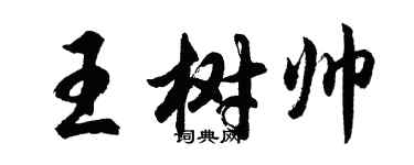 胡问遂王树帅行书个性签名怎么写