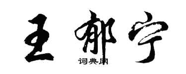 胡问遂王郁宁行书个性签名怎么写