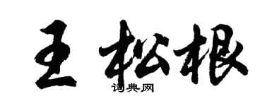 胡问遂王松根行书个性签名怎么写
