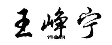 胡问遂王峥宁行书个性签名怎么写