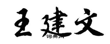 胡问遂王建文行书个性签名怎么写