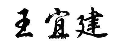 胡问遂王宜建行书个性签名怎么写