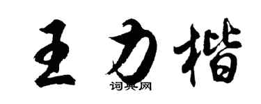 胡问遂王力楷行书个性签名怎么写