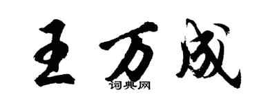 胡问遂王万成行书个性签名怎么写