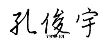 王正良孔俊宇行书个性签名怎么写