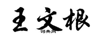 胡问遂王文根行书个性签名怎么写