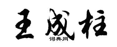 胡问遂王成柱行书个性签名怎么写