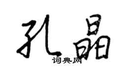 王正良孔晶行书个性签名怎么写