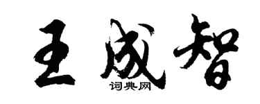胡问遂王成智行书个性签名怎么写