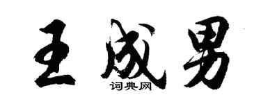 胡问遂王成男行书个性签名怎么写
