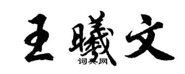 胡问遂王曦文行书个性签名怎么写