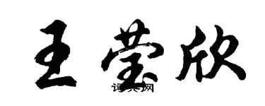 胡问遂王莹欣行书个性签名怎么写