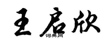 胡问遂王启欣行书个性签名怎么写