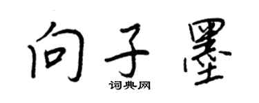 王正良向子墨行书个性签名怎么写