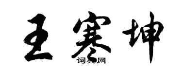 胡问遂王寒坤行书个性签名怎么写