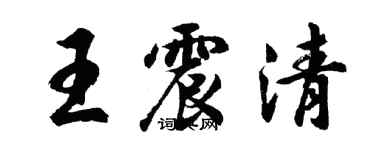 胡问遂王震清行书个性签名怎么写