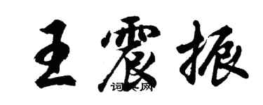 胡问遂王震振行书个性签名怎么写