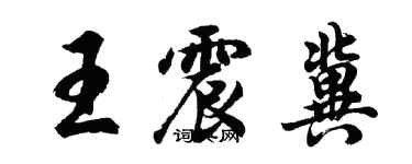 胡问遂王震冀行书个性签名怎么写