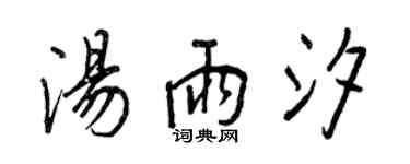 王正良汤雨汐行书个性签名怎么写