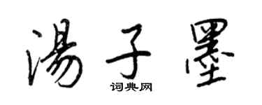 王正良汤子墨行书个性签名怎么写