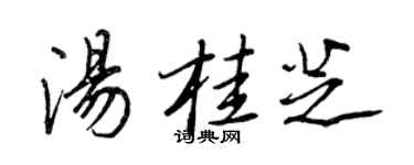 王正良汤桂芝行书个性签名怎么写