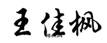 胡问遂王佳枫行书个性签名怎么写