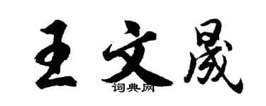 胡问遂王文晟行书个性签名怎么写