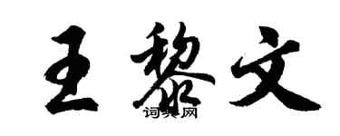 胡问遂王黎文行书个性签名怎么写