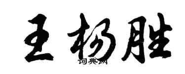 胡问遂王杨胜行书个性签名怎么写