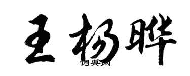 胡问遂王杨晔行书个性签名怎么写