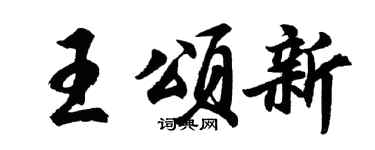 胡问遂王颂新行书个性签名怎么写