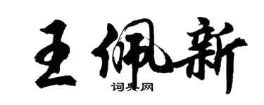 胡问遂王佩新行书个性签名怎么写