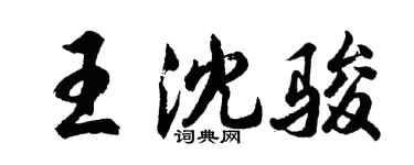 胡问遂王沈骏行书个性签名怎么写