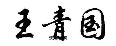 胡问遂王青国行书个性签名怎么写