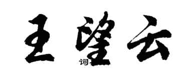 胡问遂王望云行书个性签名怎么写