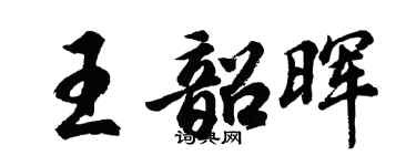 胡问遂王韶晖行书个性签名怎么写