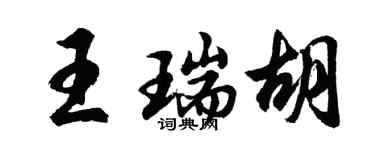 胡问遂王瑞胡行书个性签名怎么写