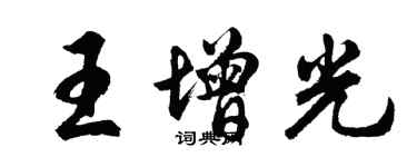 胡问遂王增光行书个性签名怎么写