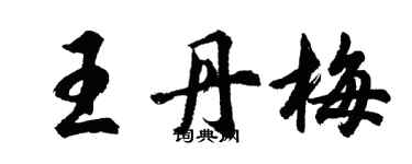 胡问遂王丹梅行书个性签名怎么写