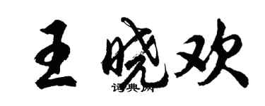 胡问遂王晓欢行书个性签名怎么写